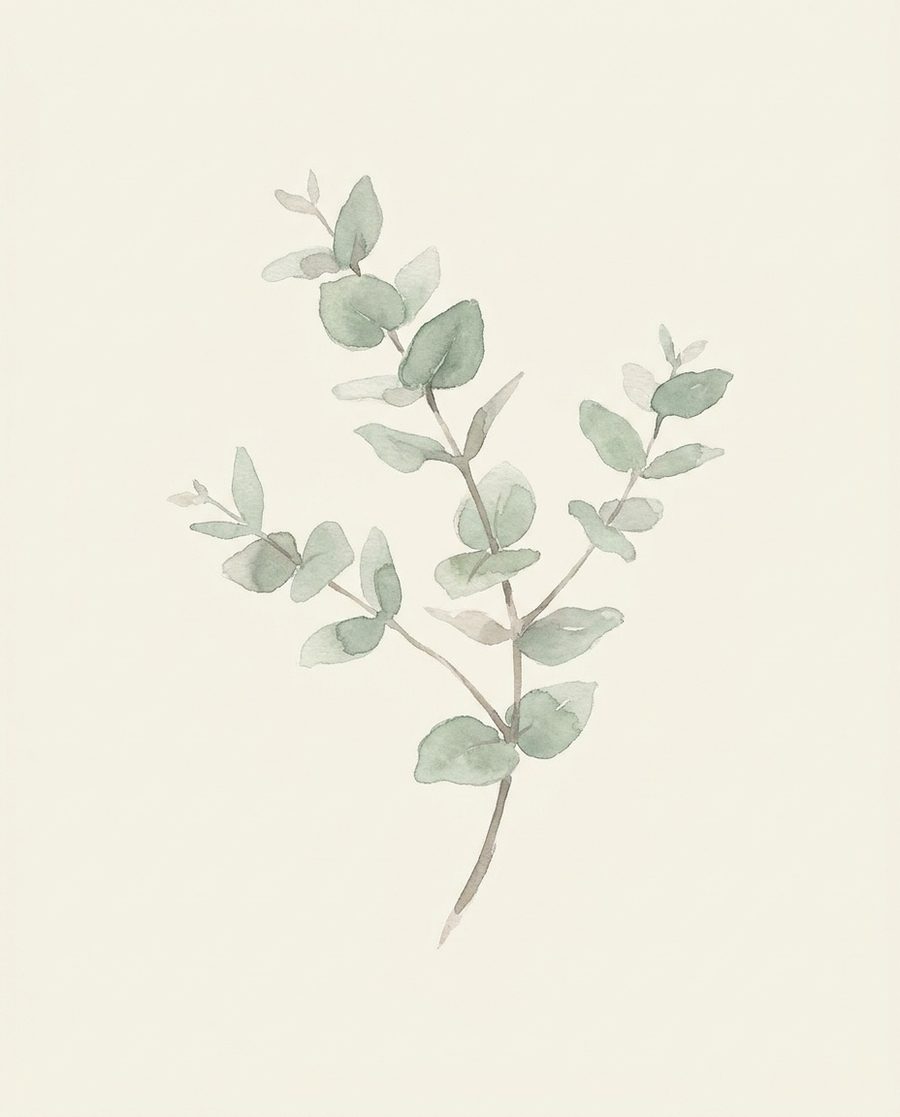 Eucalyptus, affiche botanique