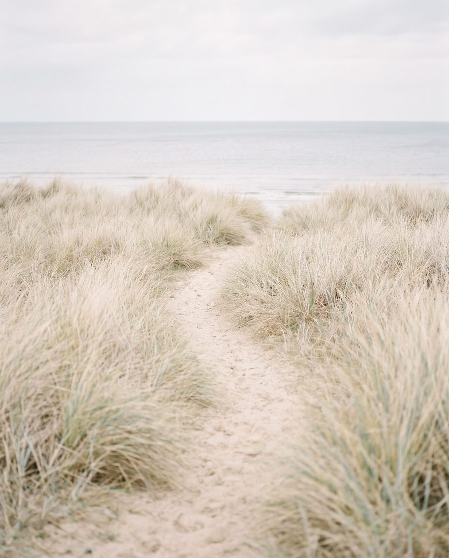 Le chemin des dunes, affiche paysage