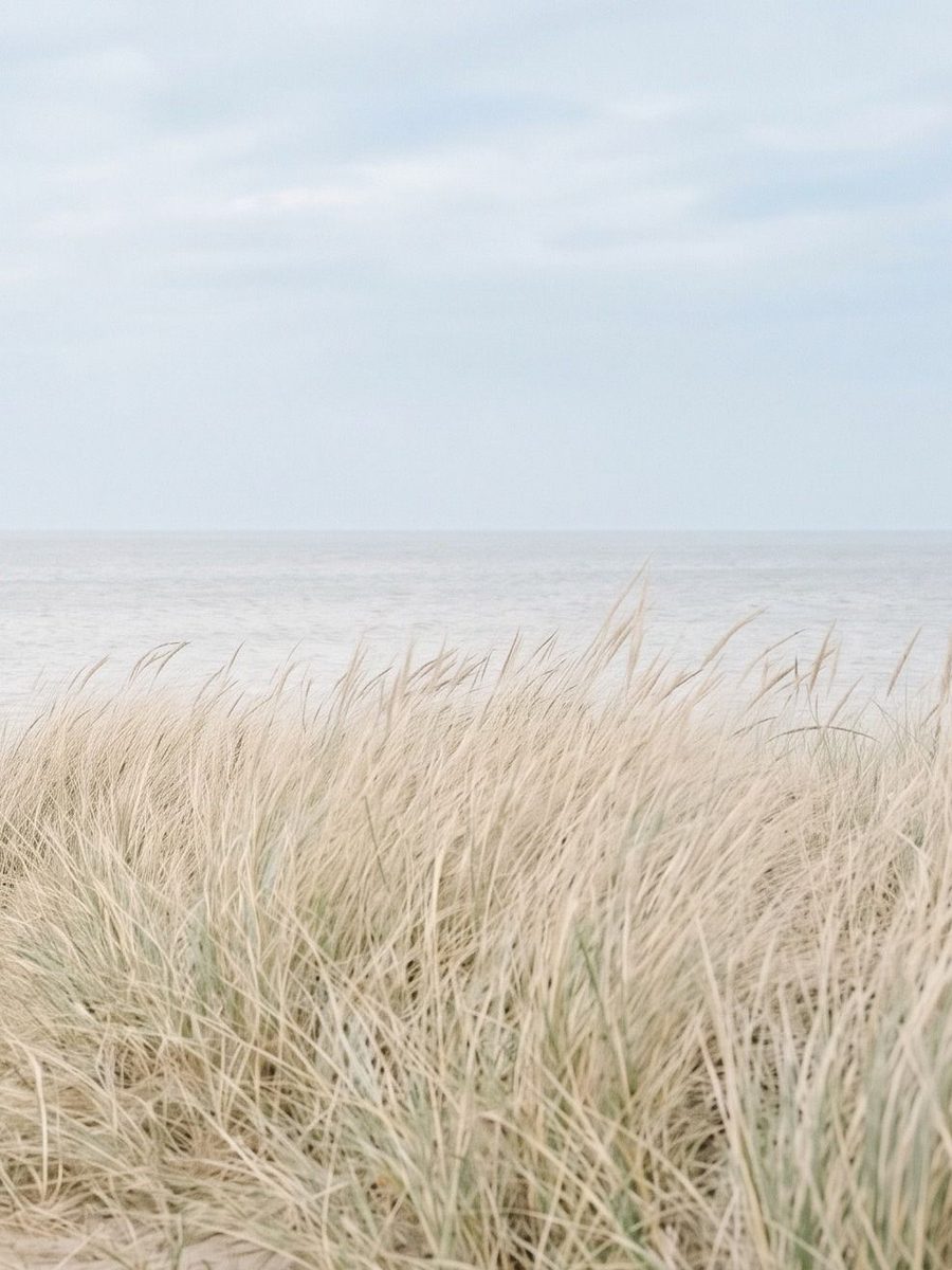 Les dunes · panneau droit