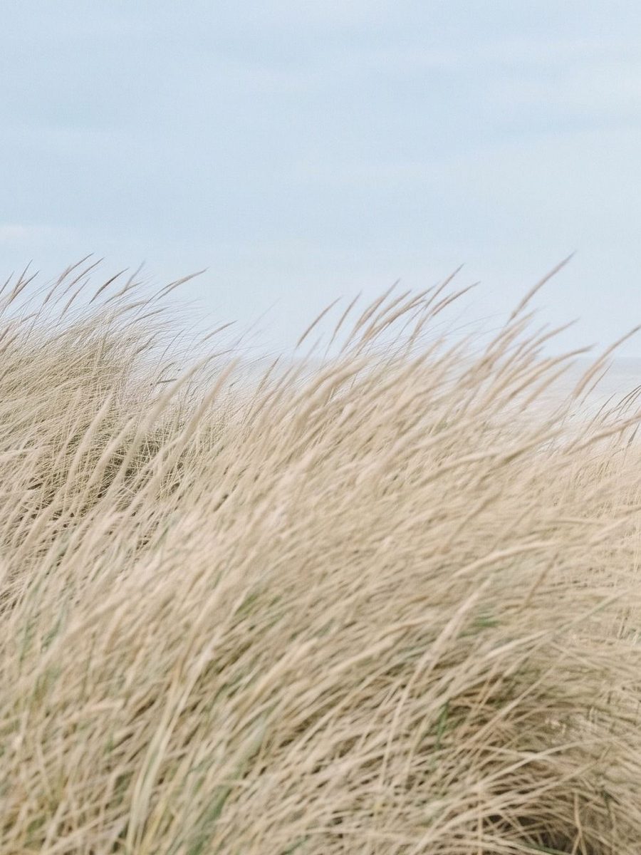 Les dunes · panneau gauche