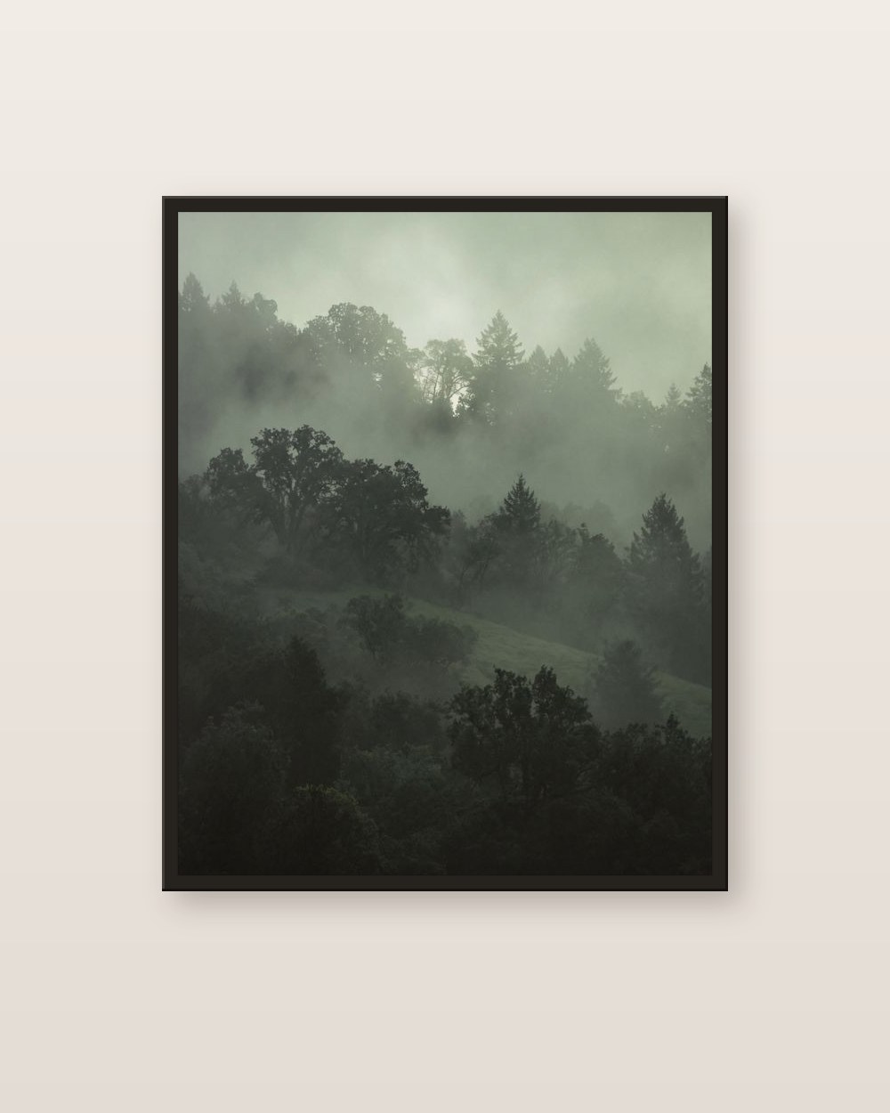 Forêt de brume