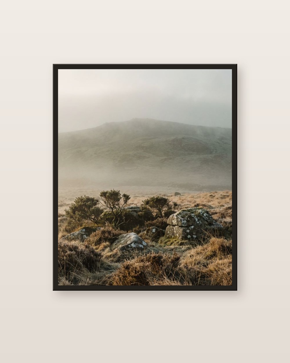 La lande dorée