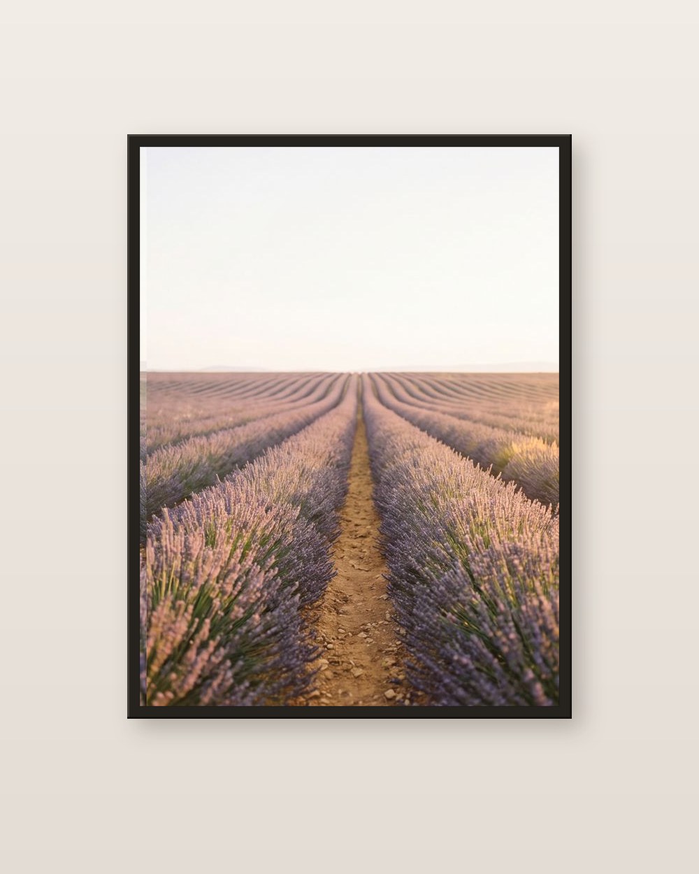Le champ de lavande · panneau droite