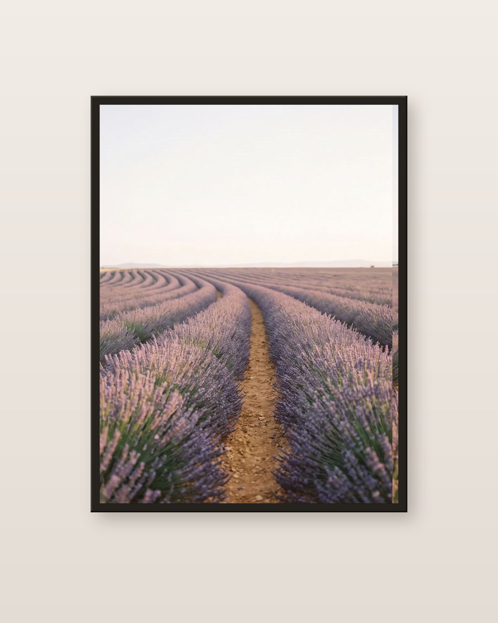 Le champ de lavande · panneau gauche