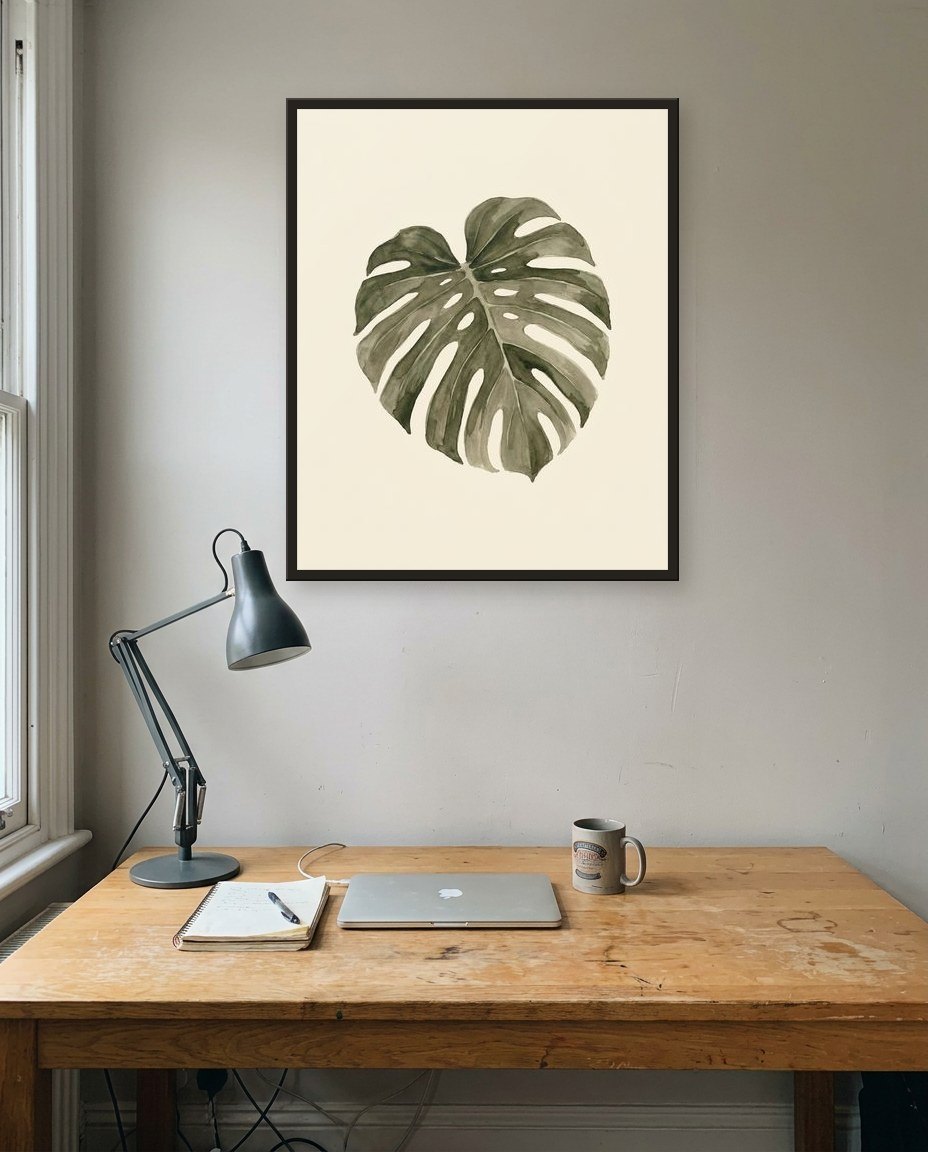 Monstera, bureau