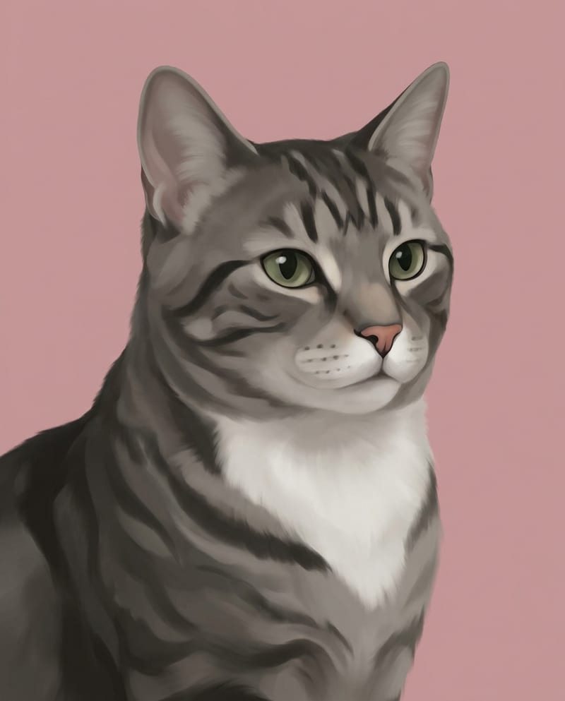 Portrait chat dessin moderne : chat gris tigré illustré sur un aplat de couleur rose poudré